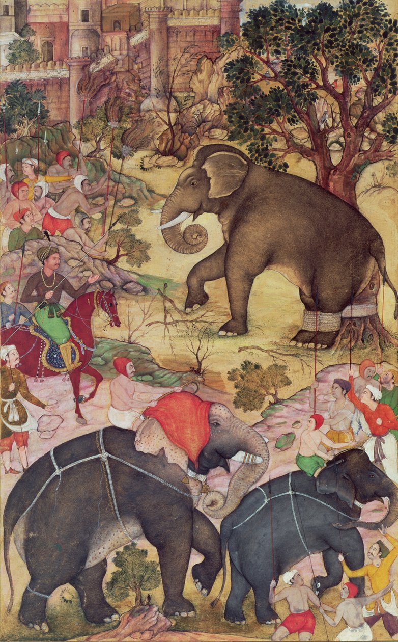 Akbar inspiziert den wilden Elefanten, der in der Nähe von Malwa gefangen wurde, aus dem Akbarnama, Mogul, ca. 1590-95 von Indian School