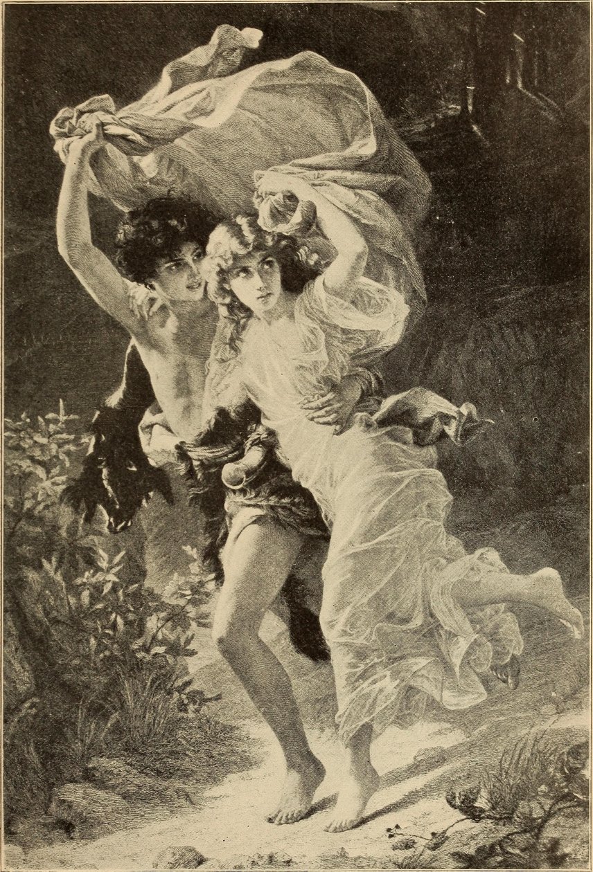 Der Sturm von Internet Archive Book Images