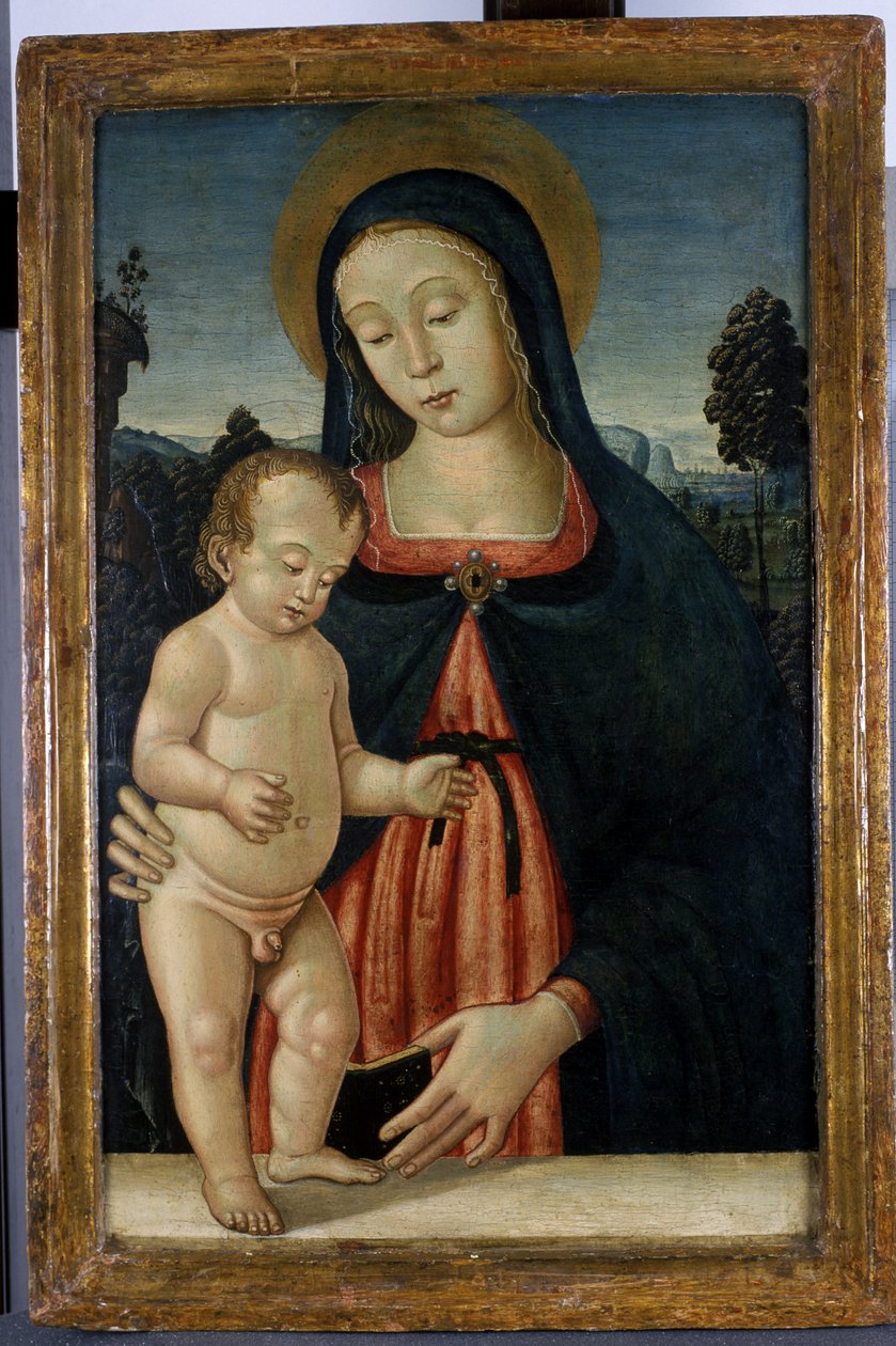 Madonna mit Kind von Italian School