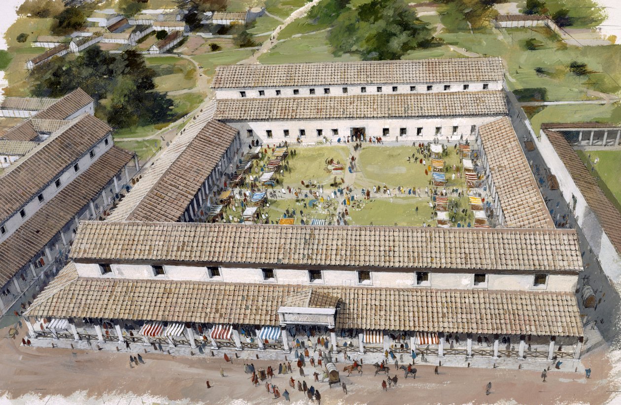 Das Forum in Wroxeter von Ivan Lapper