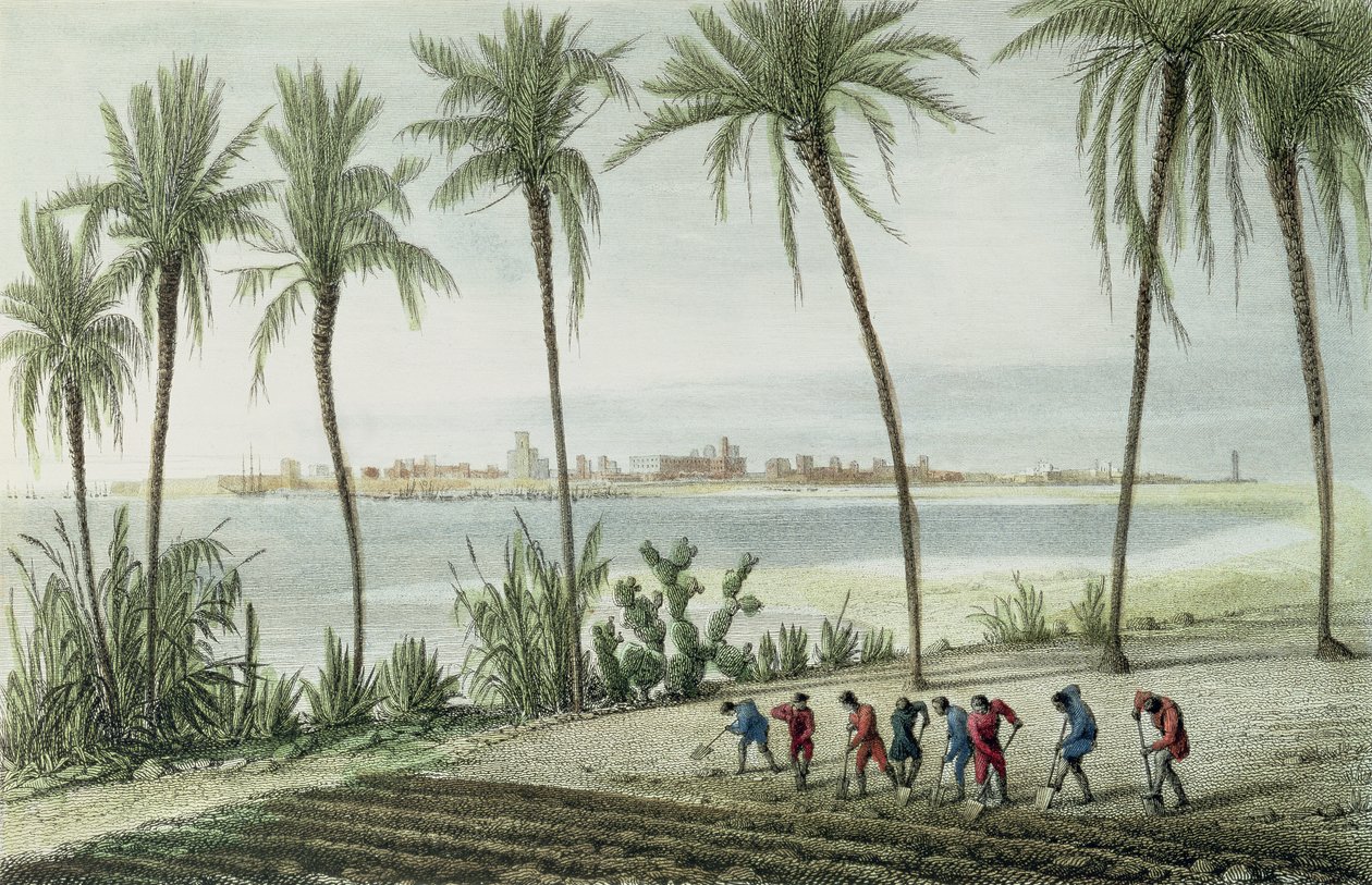 Gesamtansicht von Cadiz, graviert von John Pye (1782-1874) von J. Taylor