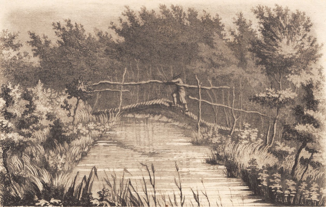 Teil des Gartens von Sanderumgaard von J.F. Clemens