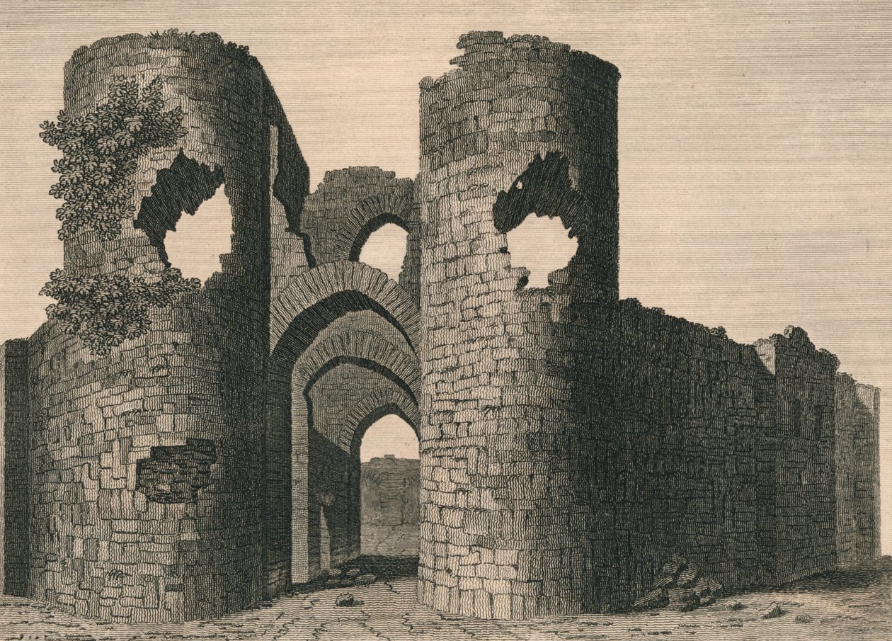 Ballyloghan Castle von J Newton