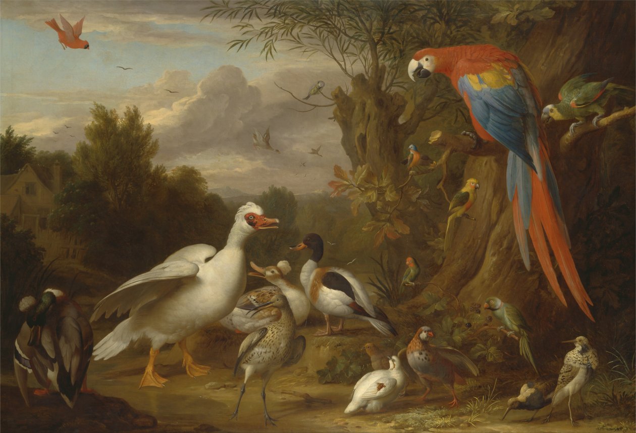 Ein Ara, Enten, Papageien und andere Vögel in einer Landschaft von Jacob Bogdani