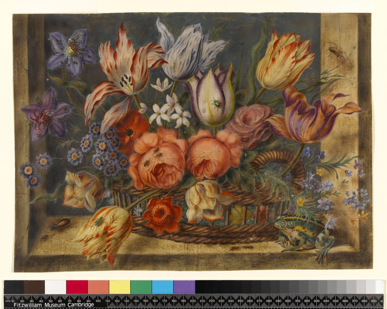 Blumen in einem Korb mit Fröschen und Insekten, 1634 von Jacob Marrel