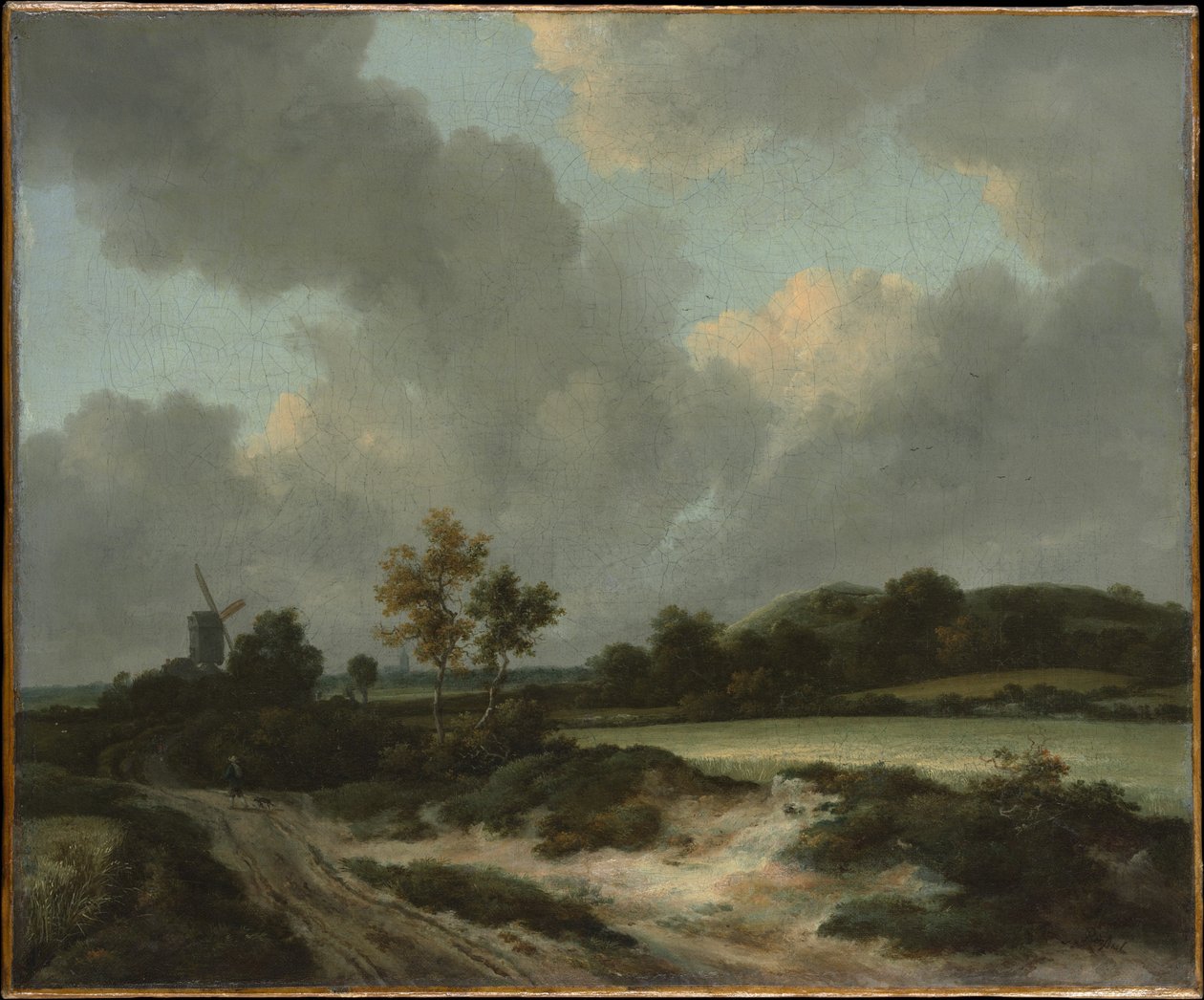 Getreidefelder von Jacob van Ruisdael