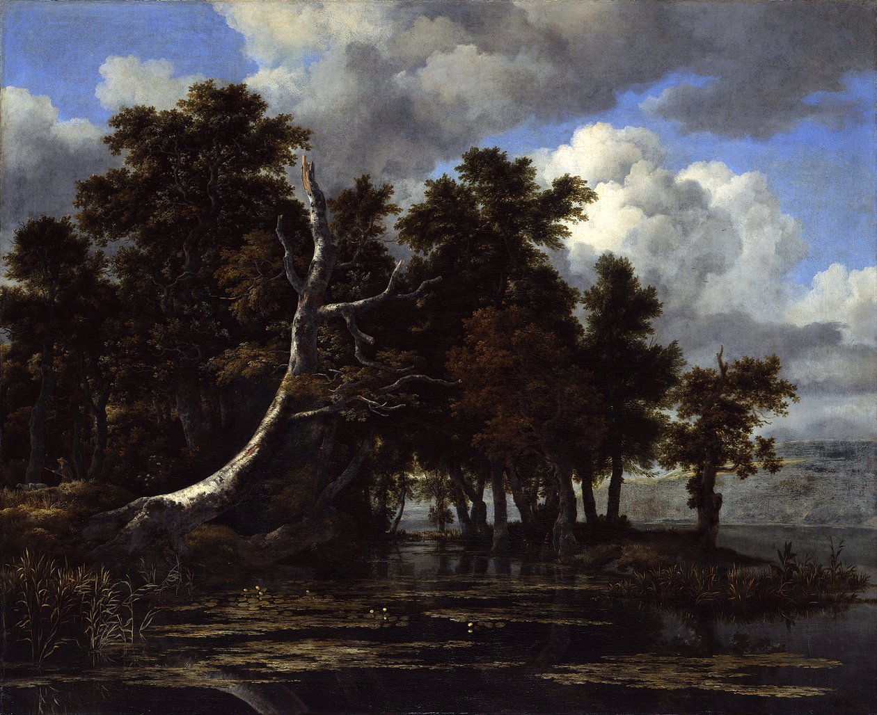 Eichen an einem See mit Seerosen von Jacob van Ruisdael