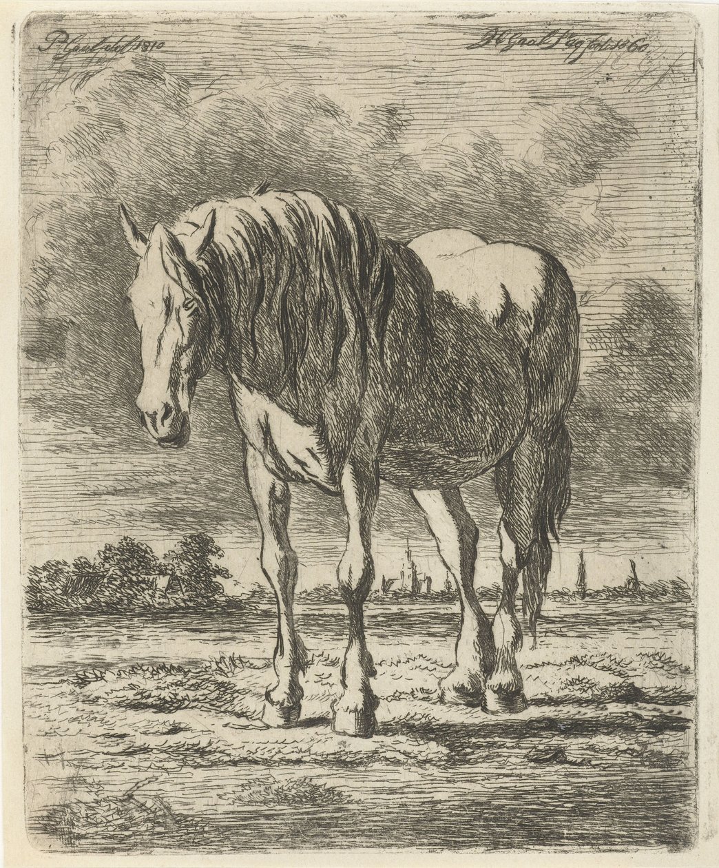 Stehendes weißes Pferd von Jacobus Cornelis Gaal