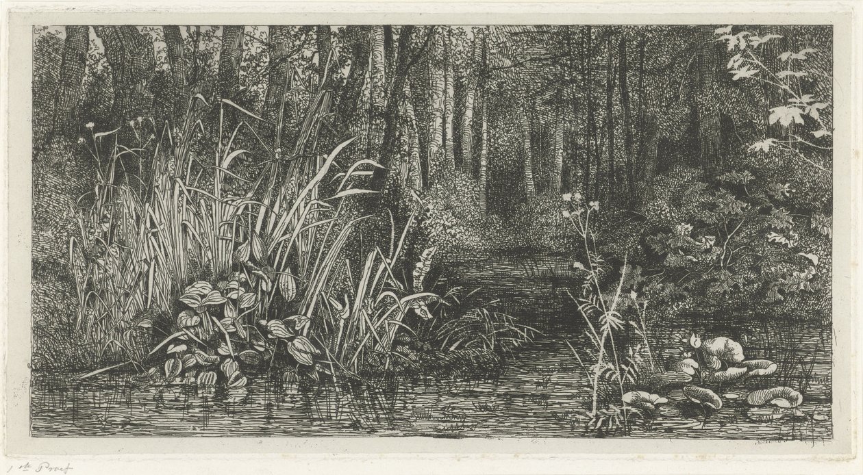 Waldfluss von Jacobus Ludovicus Cornet