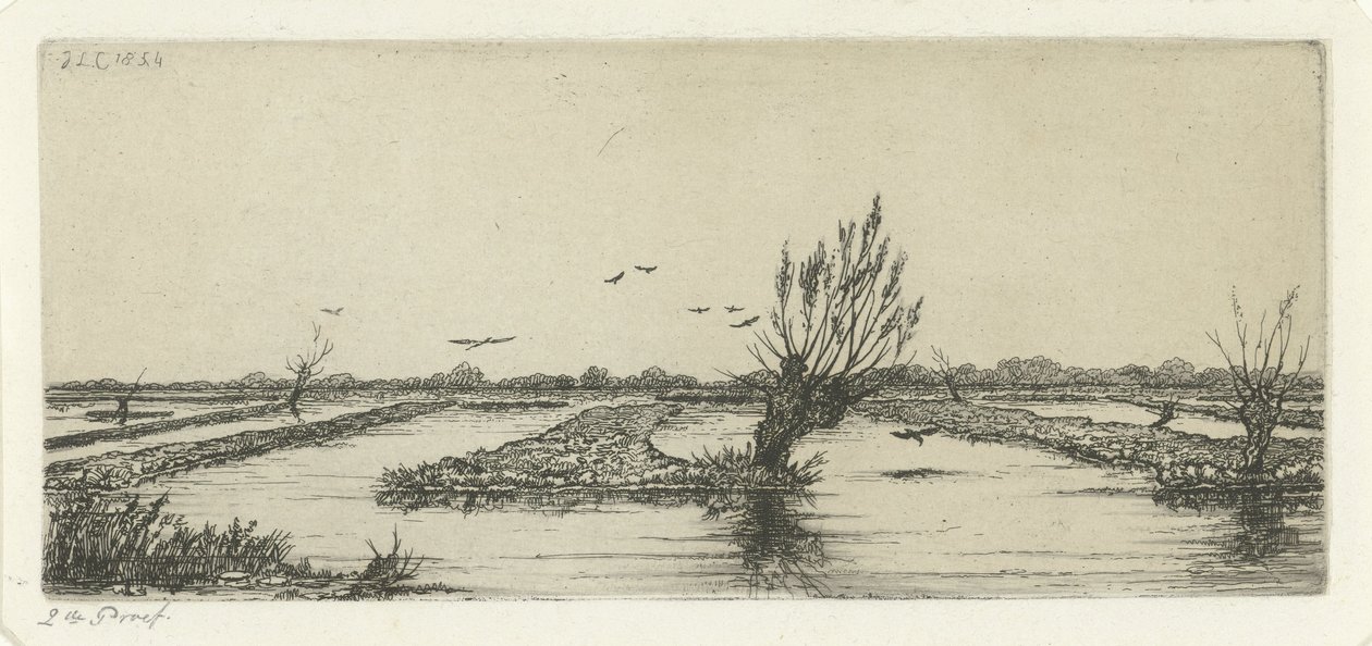 Moorsee von Jacobus Ludovicus Cornet