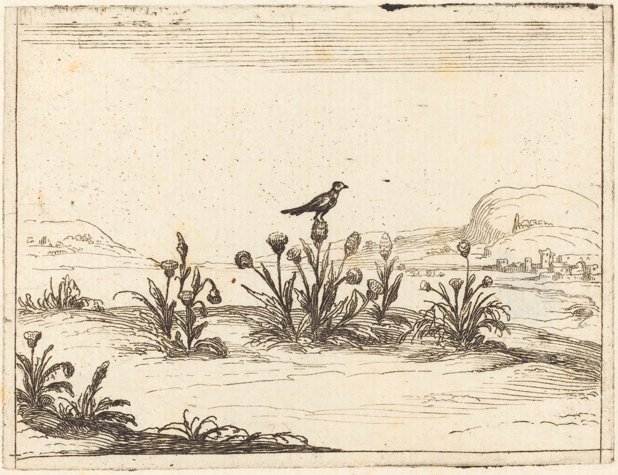 Vogel auf einer Distel sitzend von Jacques Callot