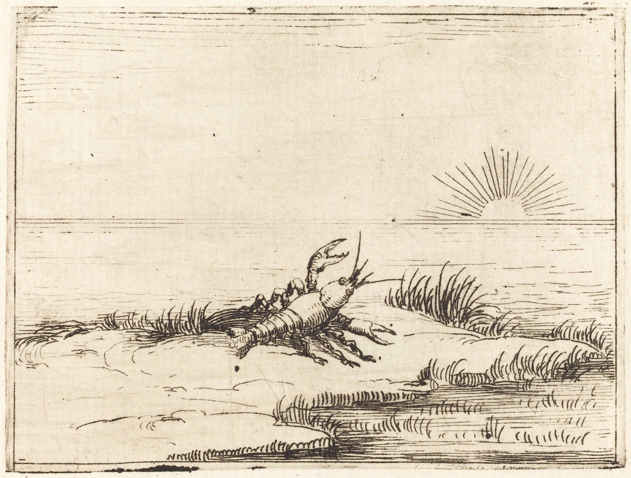 Krebs schaut in die Sonne von Jacques Callot