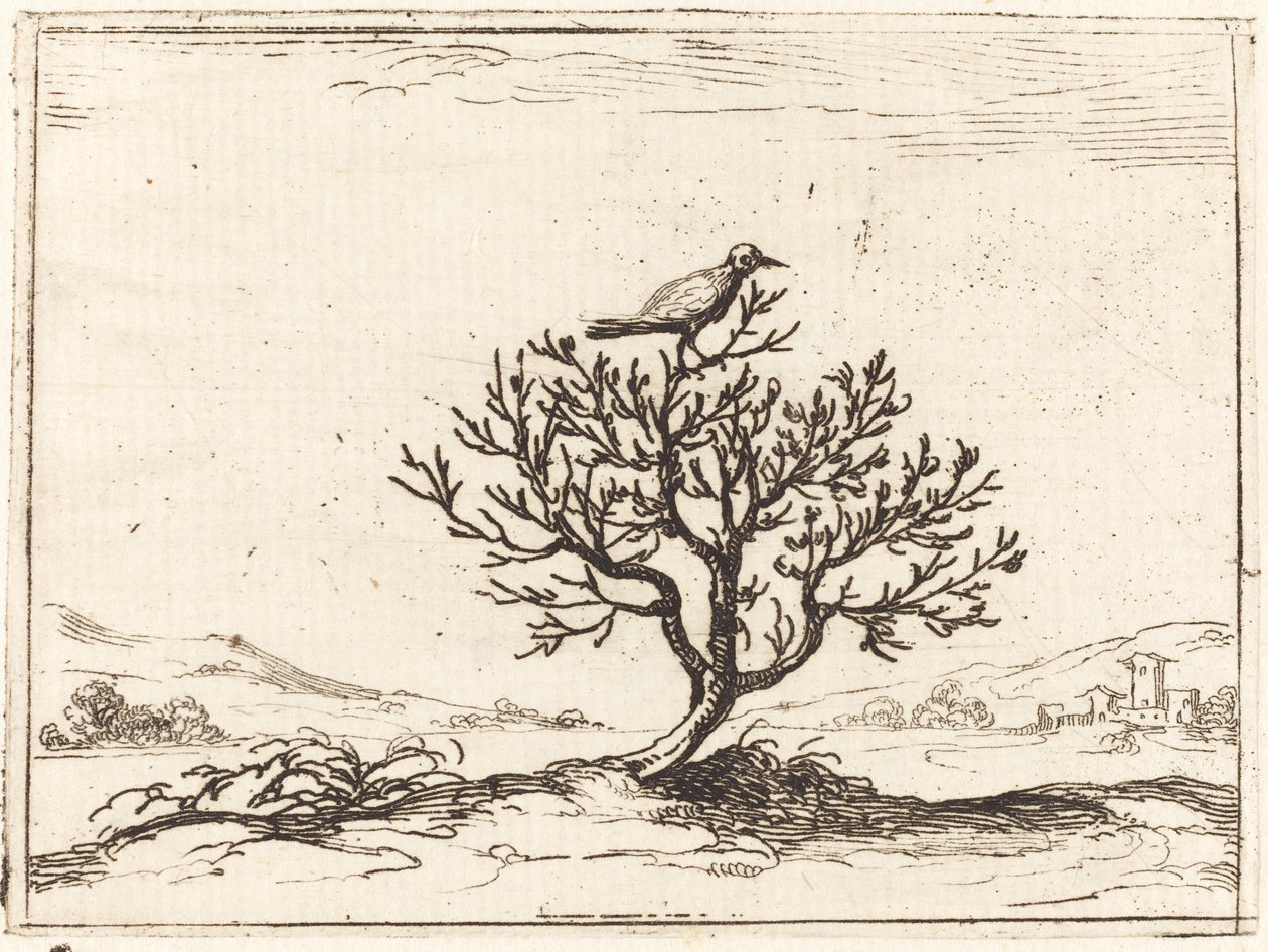 Nachtigall in einem Busch von Jacques Callot