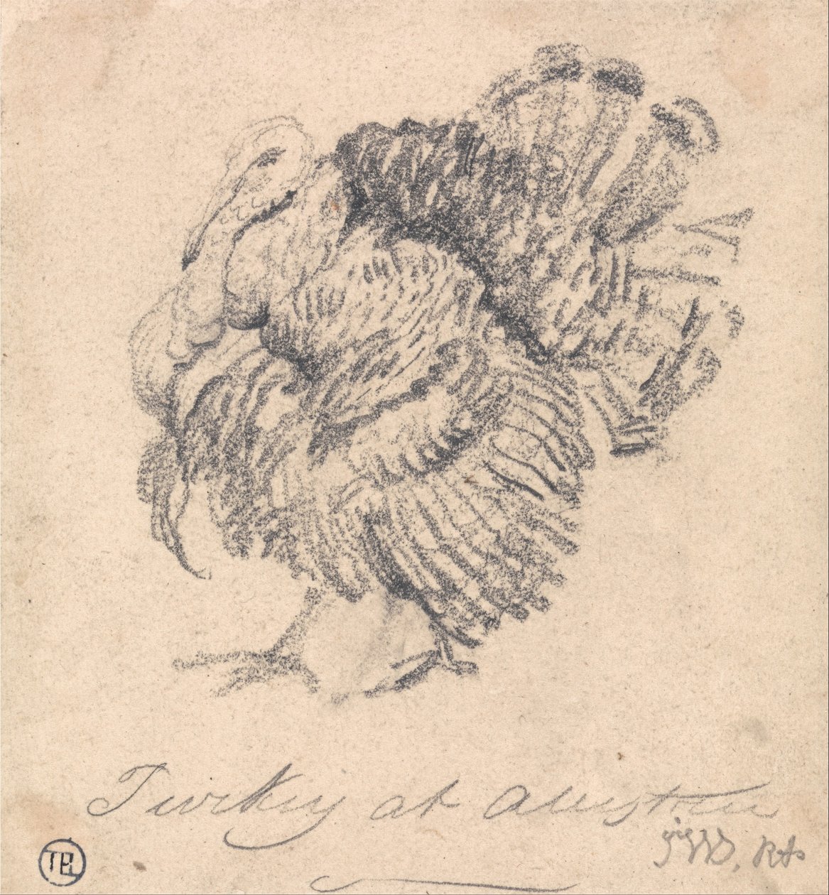 Studie eines Truthahns von James Ward