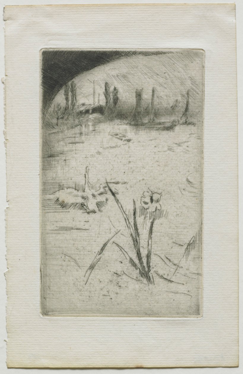 Schwan und Iris, 1883 von James Abbott McNeill Whistler