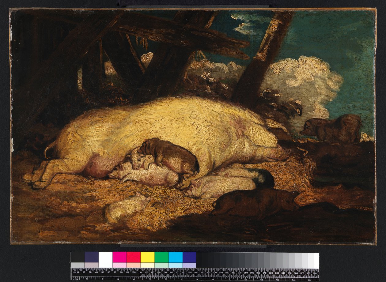 Schweine, nicht vor 1793 von James Ward