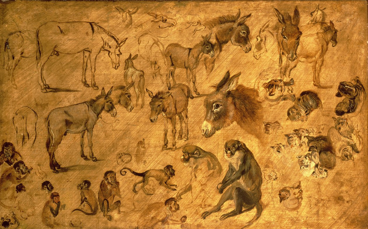 Studie von Eseln, Kätzchen und Affen, 1616 von Jan the Elder Brueghel