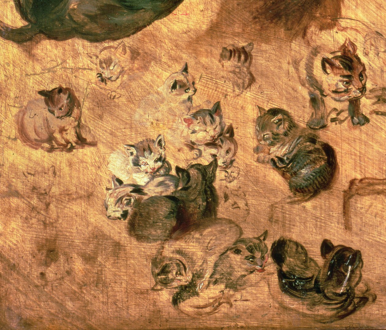 Studie von Katzen, 1616 (Detail) von Jan the Elder Brueghel