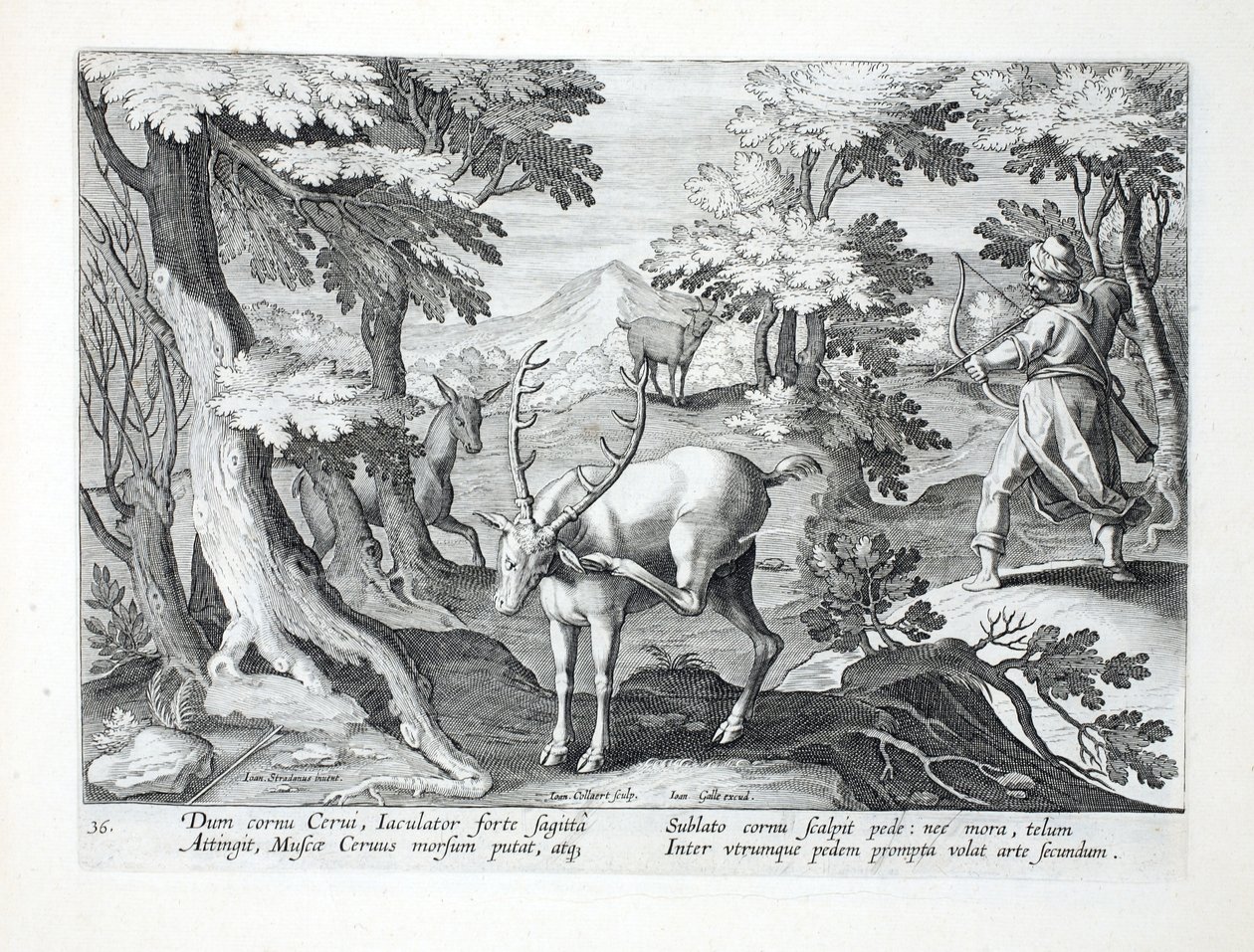Wie ein Hirsch seine Geweihe mit dem Fuß kratzt, schießt ein Jäger, mit beiden Füßen nach vorne, einen Pfeil durch die Luft, Illustration aus 
