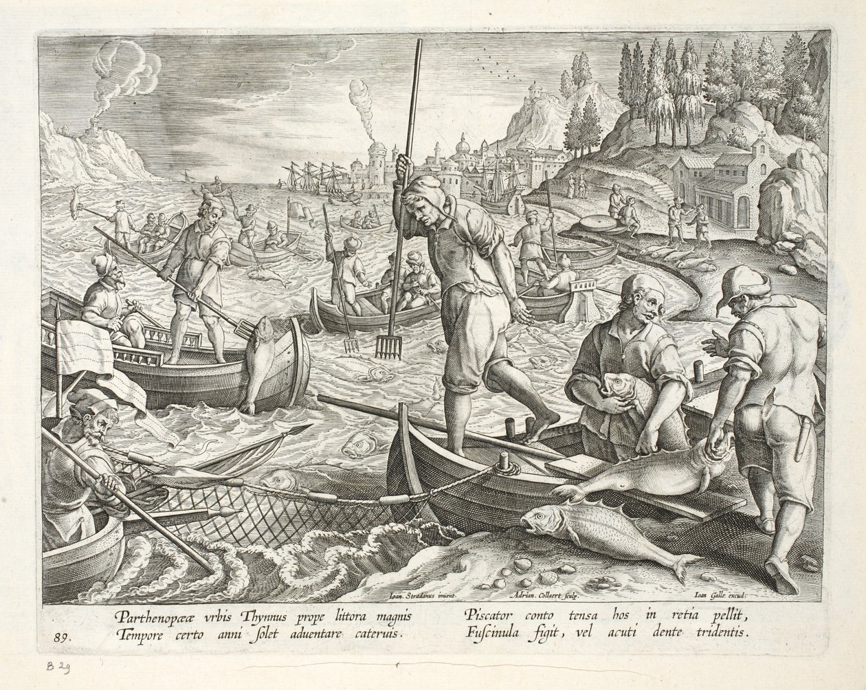 Fischen mit Netzen und Dreizacken in der Bucht von Neapel, Tafel 89, Illustration aus 