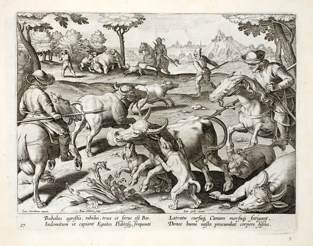 Jagd auf wilde Ochsen, Illustration aus 
