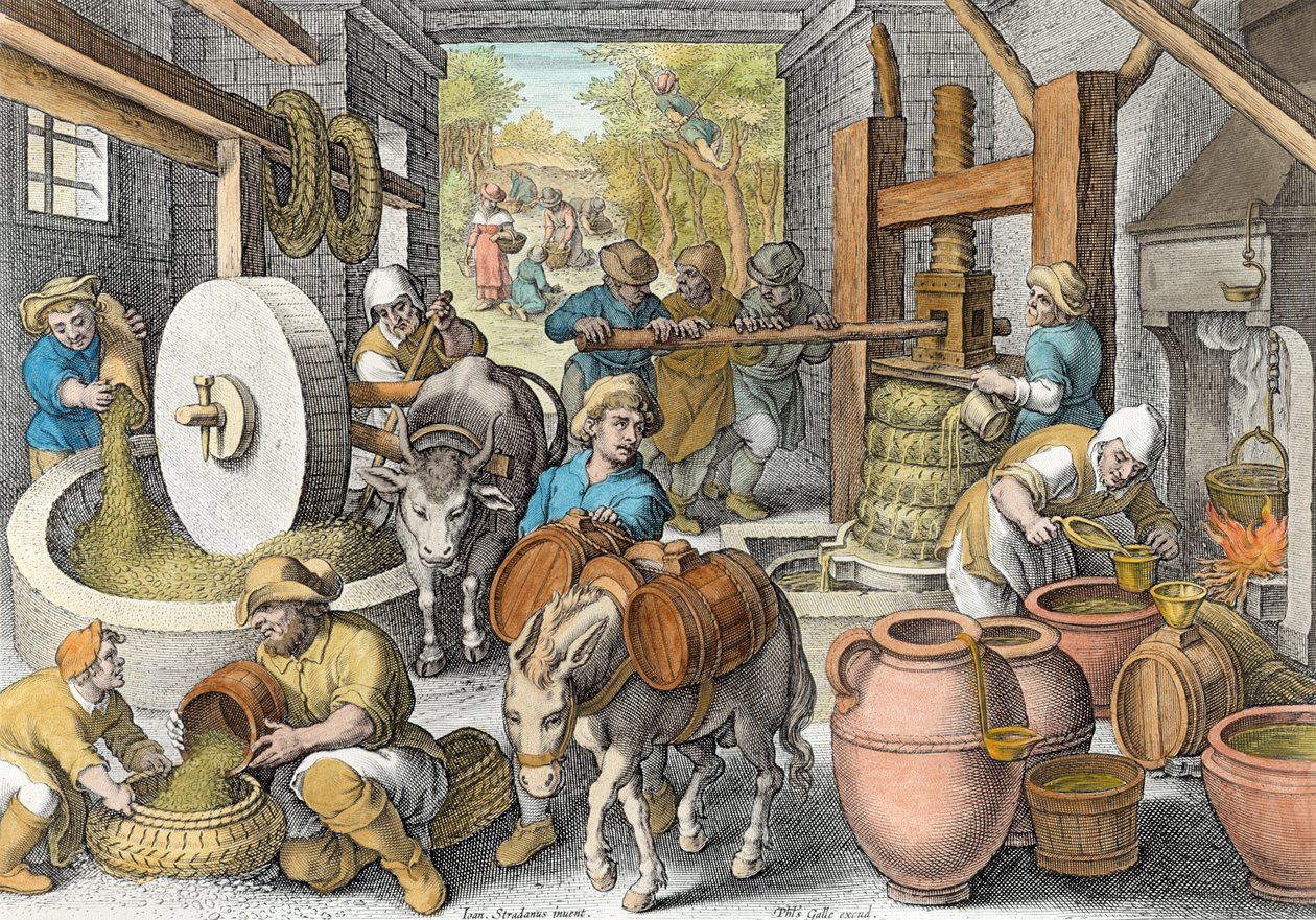 Die Herstellung von Olivenöl, Tafel 13 aus 