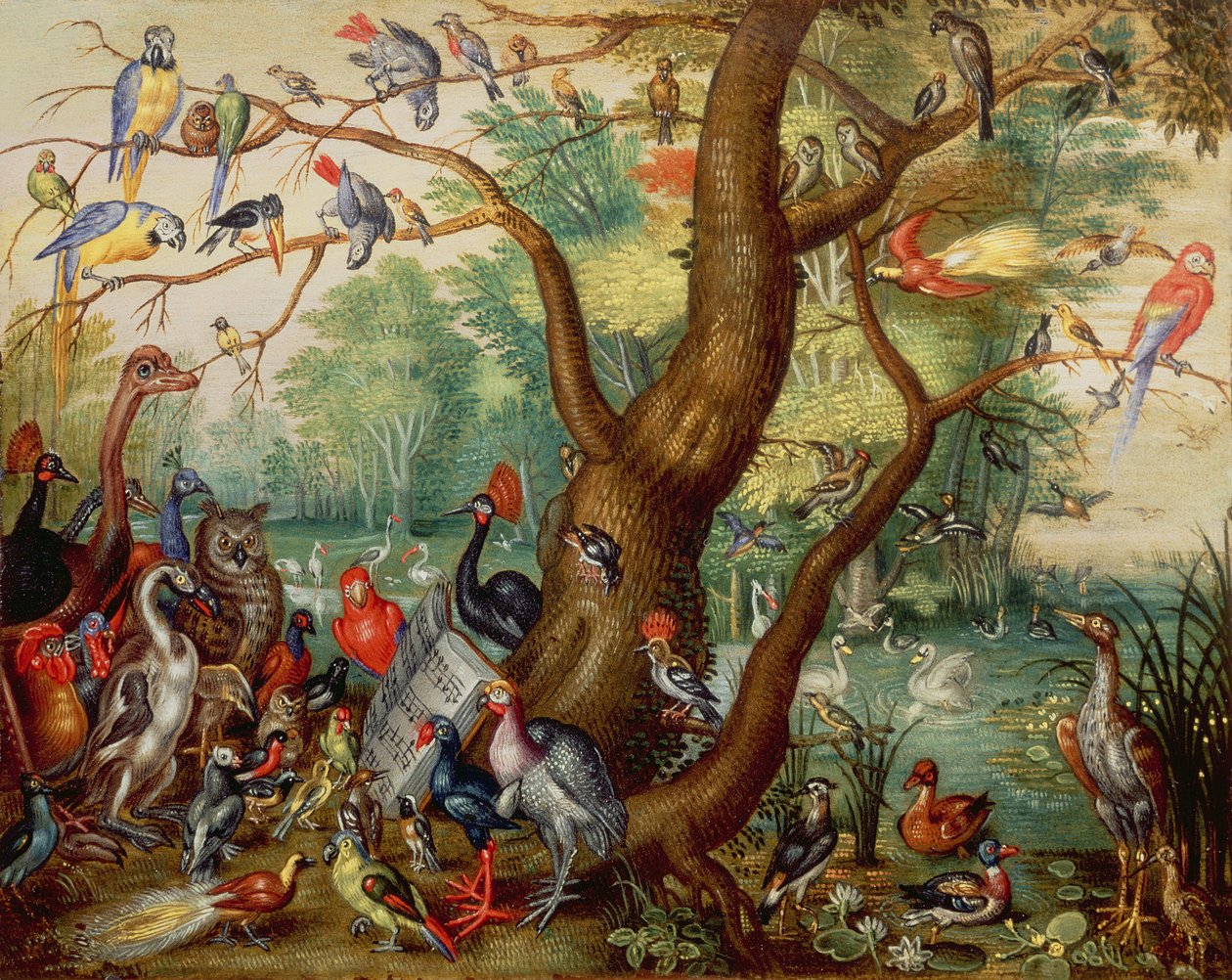 Konzert der Vögel von Jan van Kessel the Elder