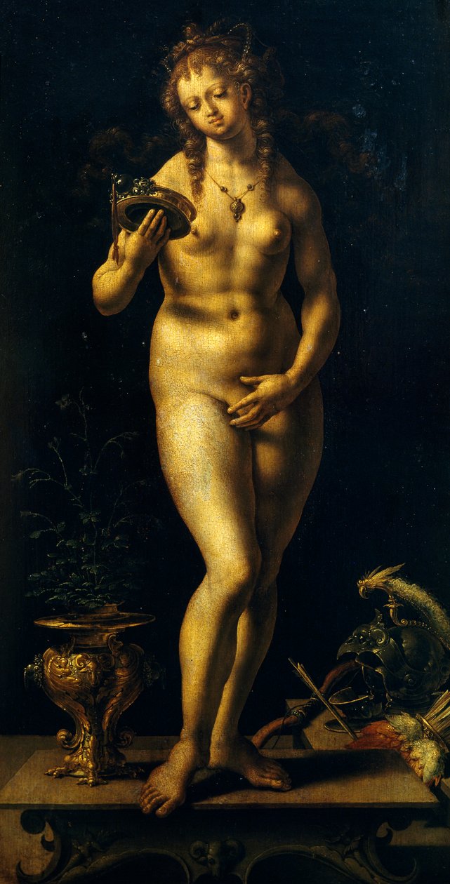 Venus von Jan (c.1472 c.1533) Gossaert