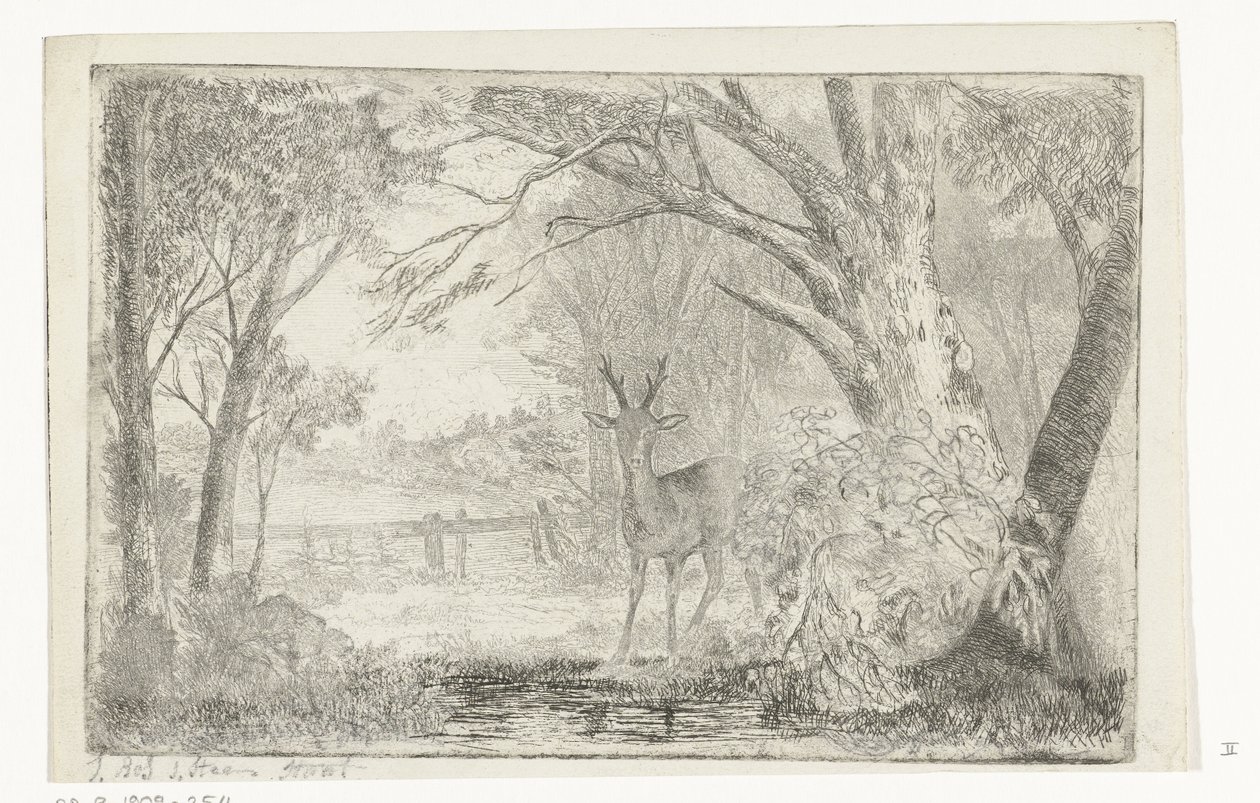Parklandschaft mit Hirsch von Jan Bos Wz.