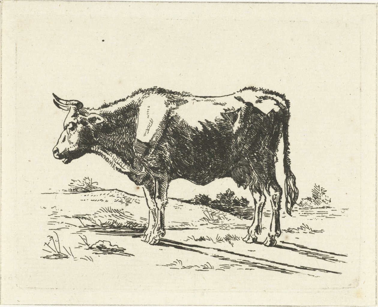 Stehende Kuh von Jan Dasveldt