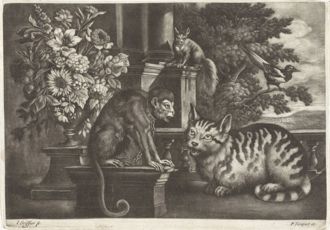 Affe, Katze, Eichhörnchen und Elster von Jan Griffier (I)