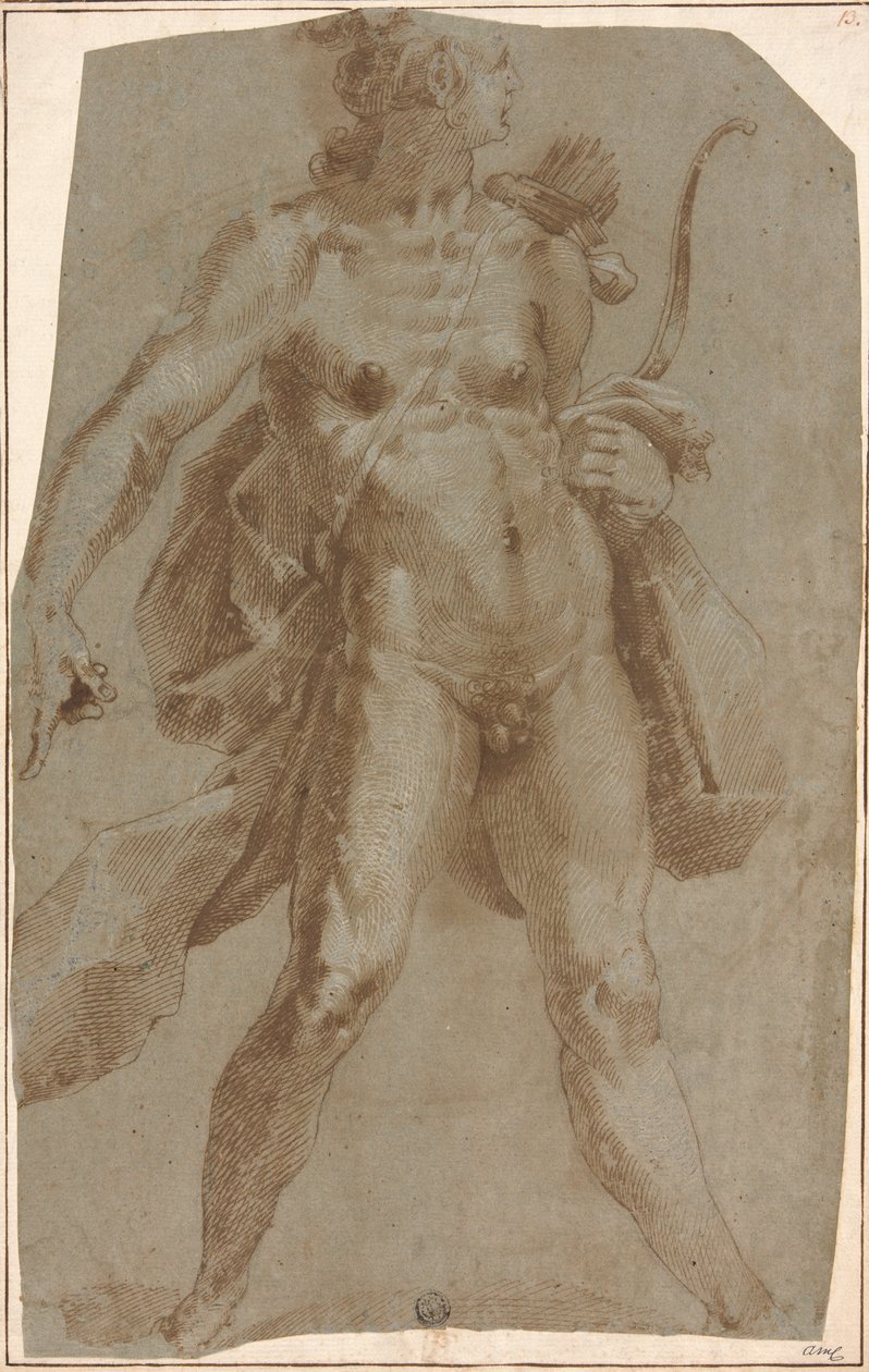 Apollo von Jan Harmensz. Muller