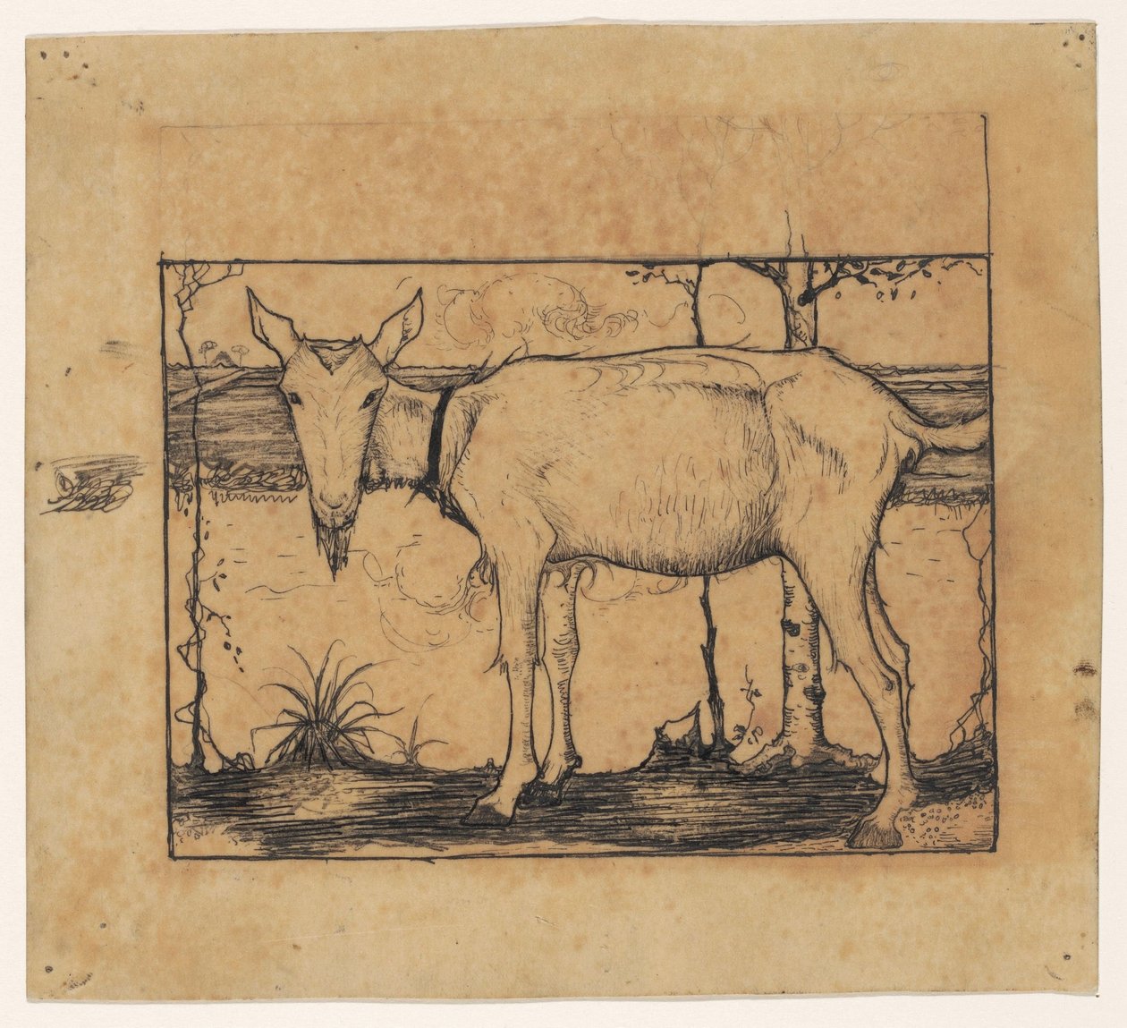 Ziege am Grabenrand von Jan Mankes