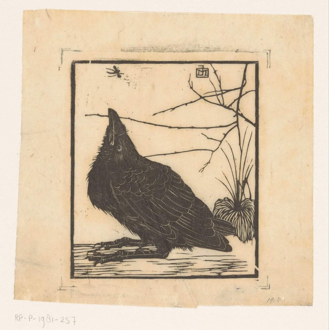 Krähe, die zu einem Mückchen hochschaut von Jan Mankes