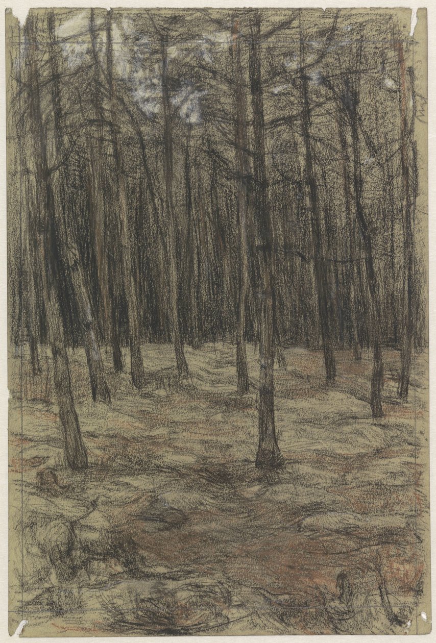 Waldlandschaft von Jan Veth