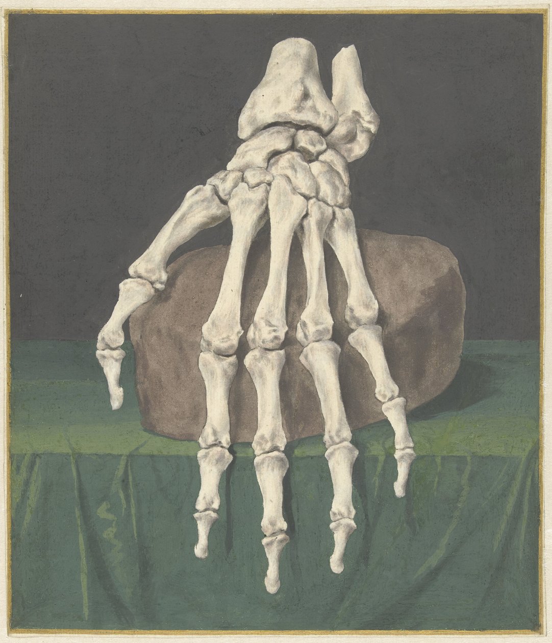 Skelett einer Hand von Jan l