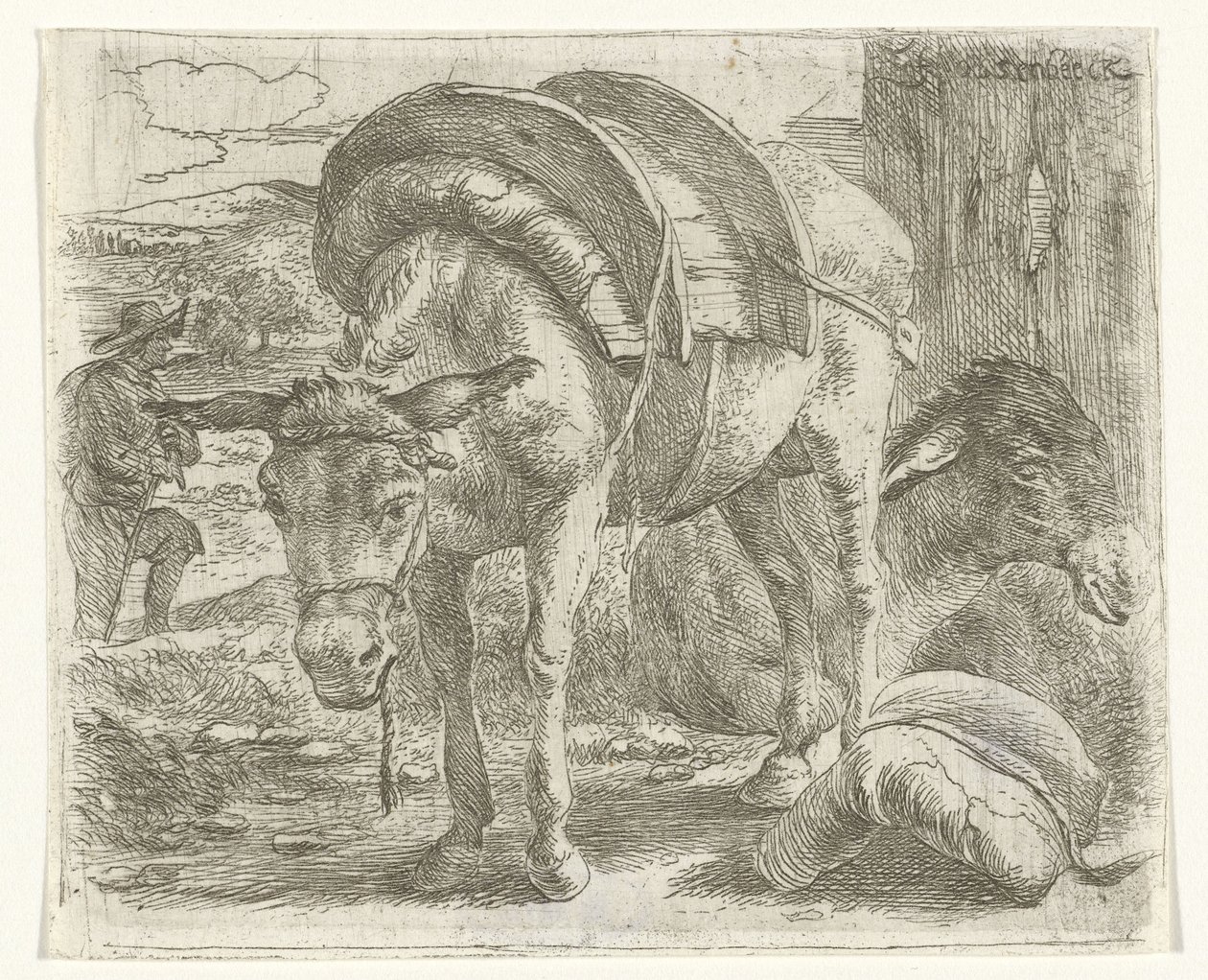 Packesel von Jan van Ossenbeeck