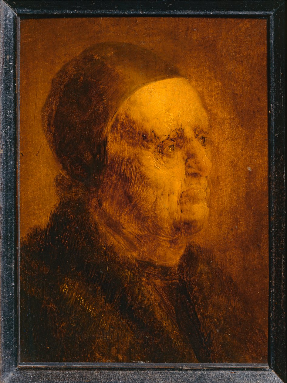 Studienkopf eines alten Mannes von Jan van de Venne