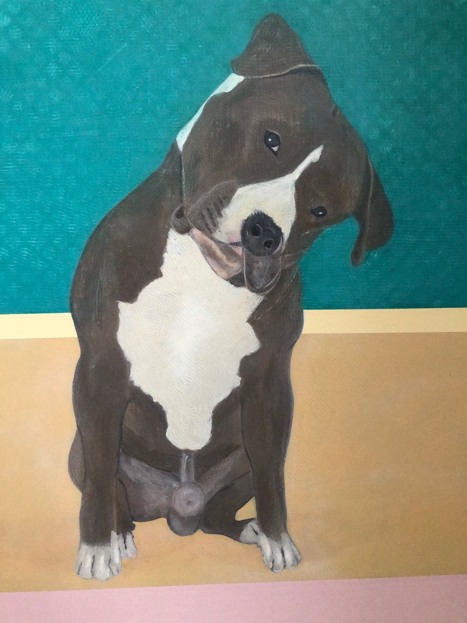 Lieber Hund (Detail) von Jasper Galloway