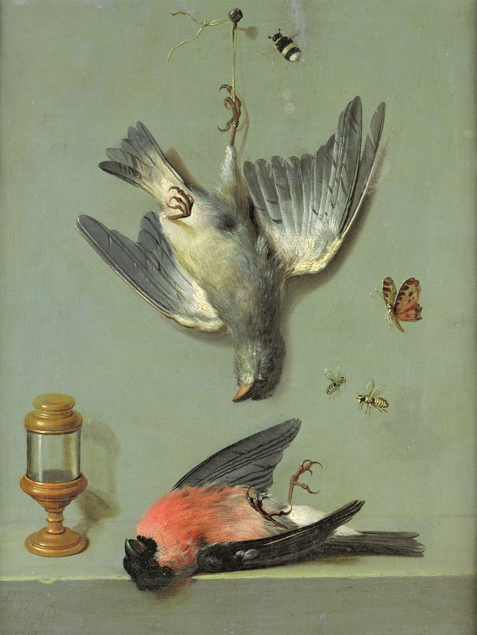 Stillleben mit Vögeln und Insekten, 1713 von Jean Baptiste Oudry