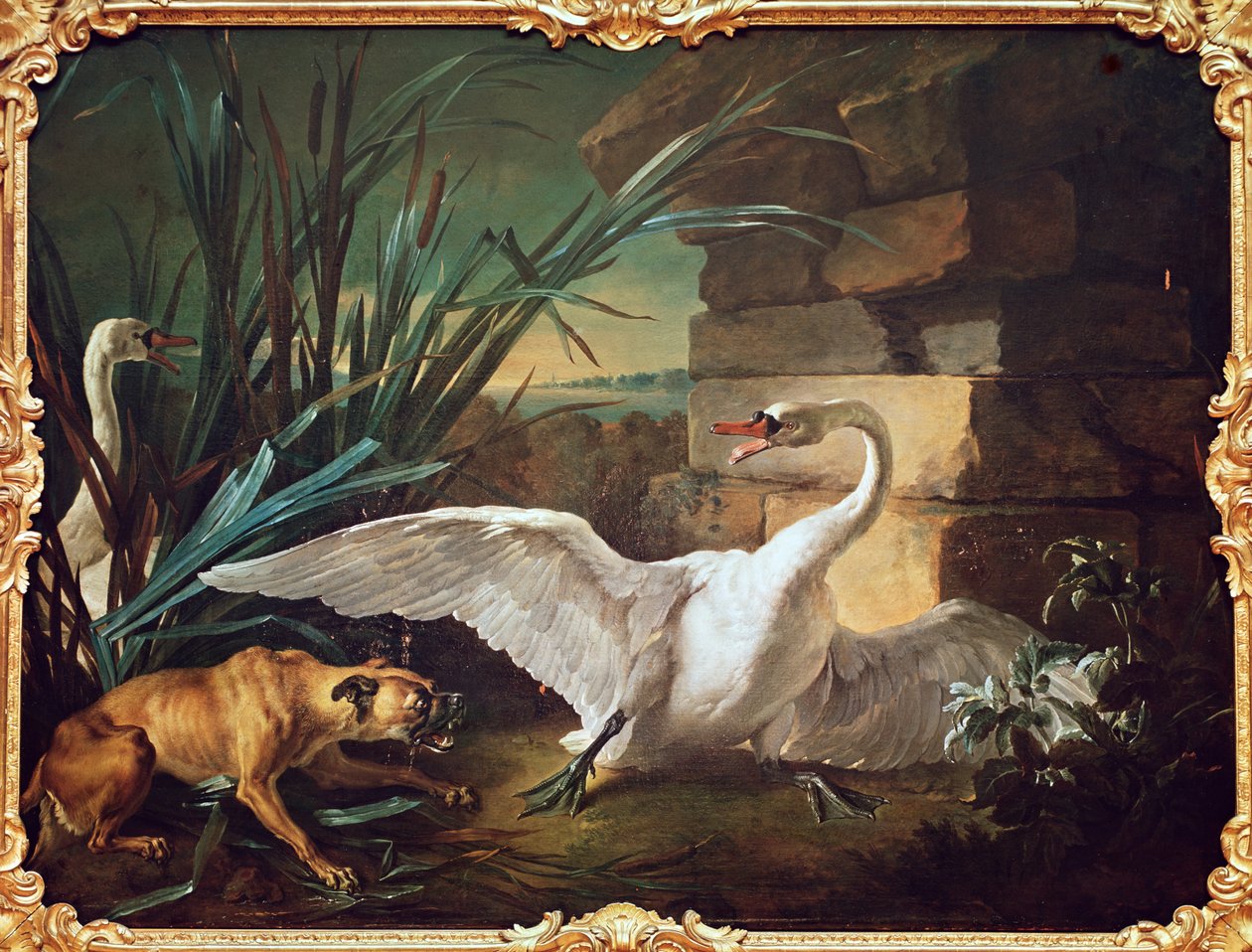 Hund und Schwäne von Jean Baptiste Oudry