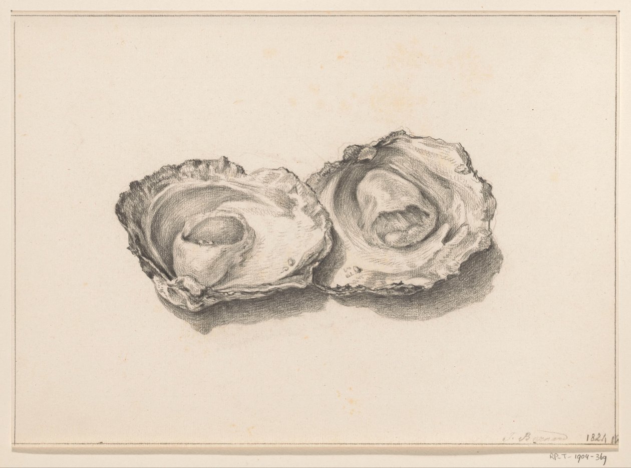 Zwei geöffnete Austern von Jean Bernard