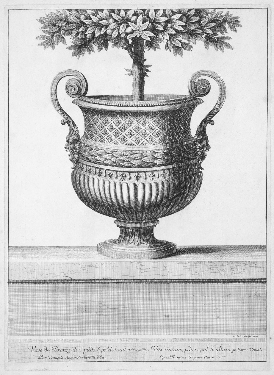 Bronzevase in Versailles von Jean Lepautre
