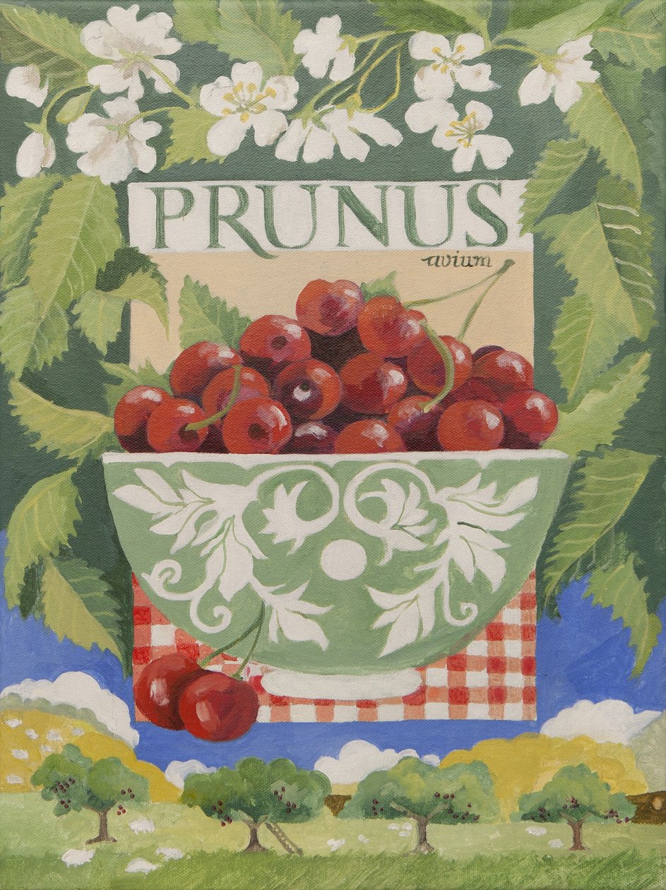 Prunus avium von Jennifer Abbott