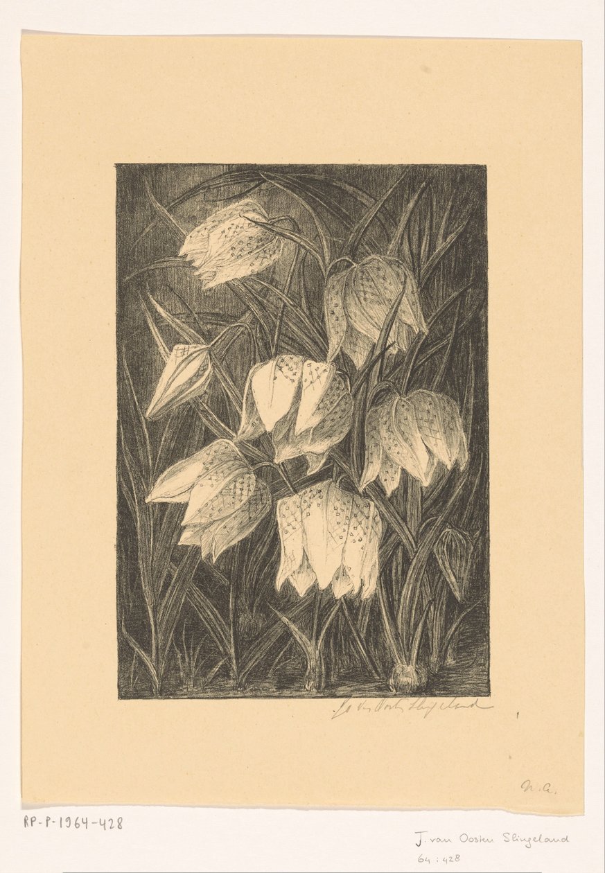Schachblumen von Jo van Oosten Slingeland (signed by artist)