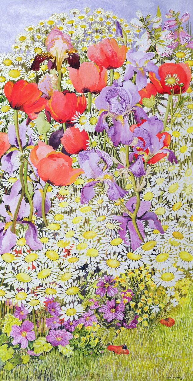 Wildblumenschutz; Gartenrand von Joan Thewsey
