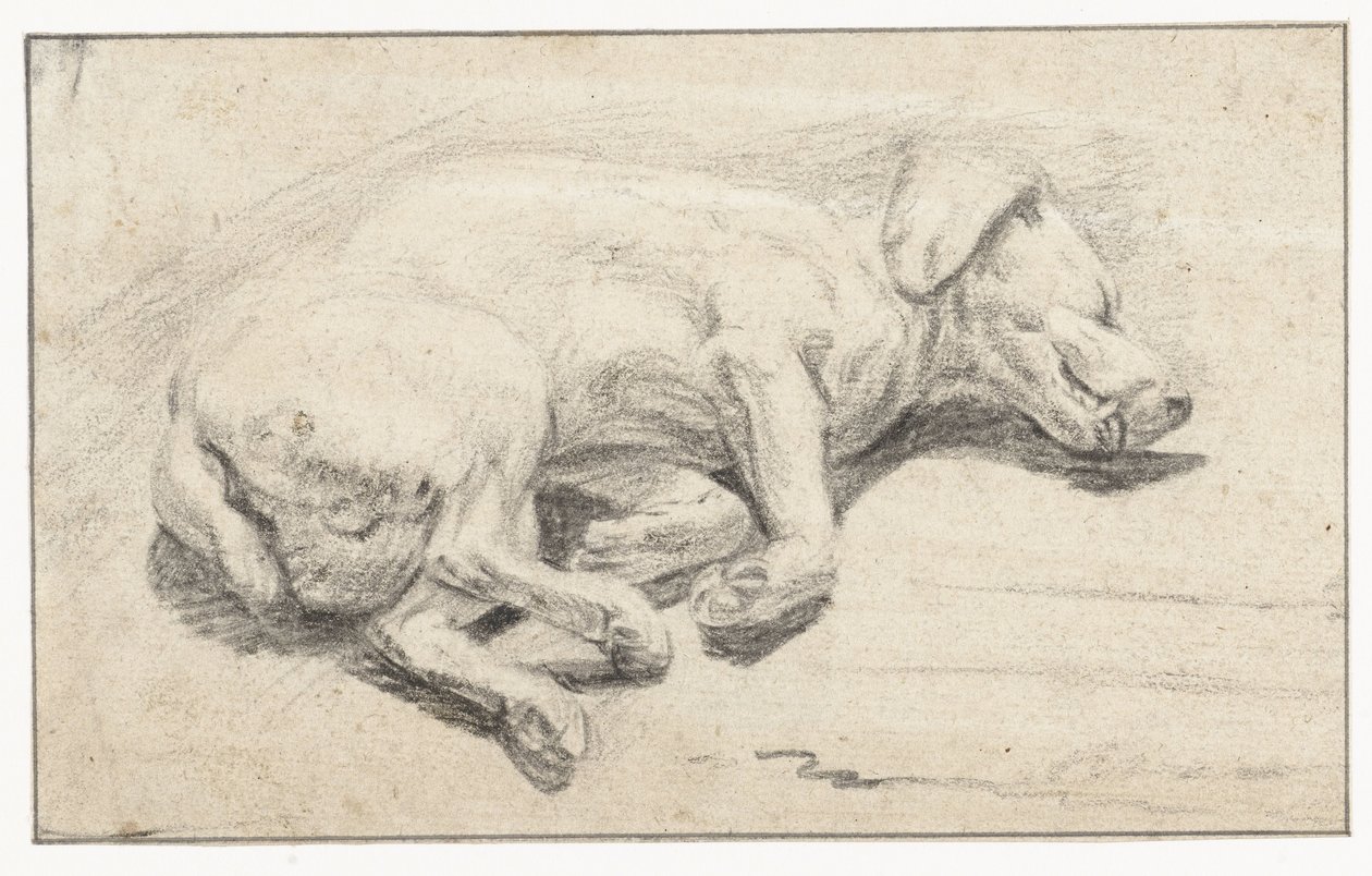 Liegender Hund, schlafend von Joannes Fijt (attributed to)