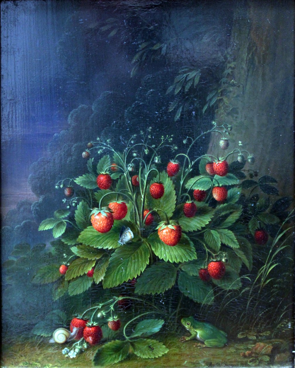 Erdbeeren von Johann Adam Schlesinger