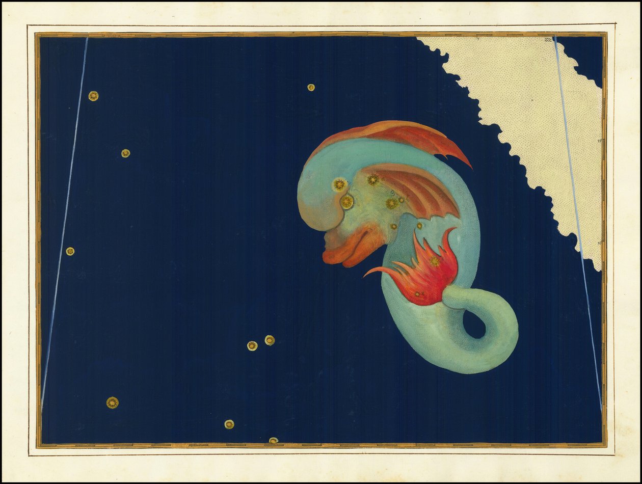 Delphinus von Johann Bayer