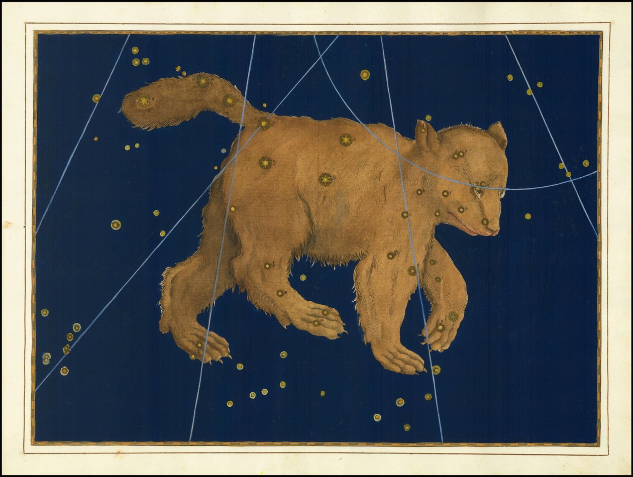Ursa Major von Johann Bayer